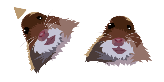 Staring Hamster Meme