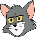 Unsettled Tom pointer