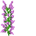 Minecraft Magenta Dye and Lilac cursor
