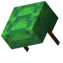 Minecraft Turtle Shell pointer
