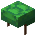 Minecraft Turtle Shell cursor
