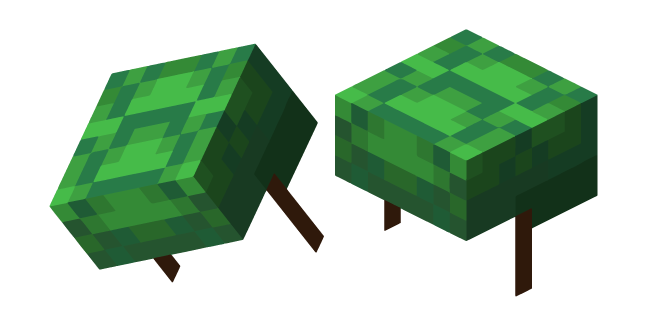 Minecraft Turtle Shell