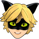 Miraculous Ladybug Cat Noir cursor
