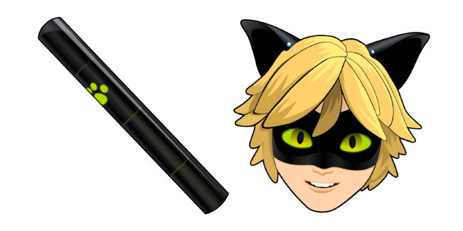 Miraculous Ladybug Cat Noir