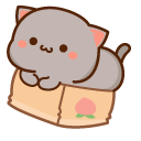 Mochi Mochi Peach Cats Peach and Goma in a Box pointer