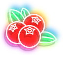 Neon Lingonberry and Blueberry pointer