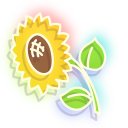 Neon Sunflower pointer