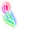 Neon Tulip pointer