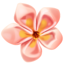 Origami Plumeria and Sakura Flowers pointer