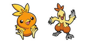 Pokemon Torchic and Combusken