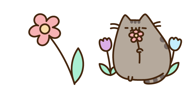 Pusheen and Flower