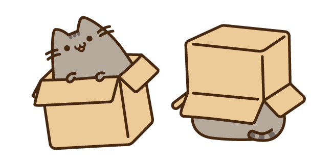 Pusheen in the Box
