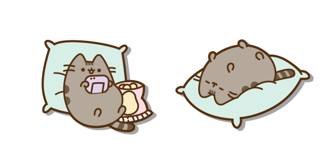 Pusheen Playing and Sleeping on a Pillow