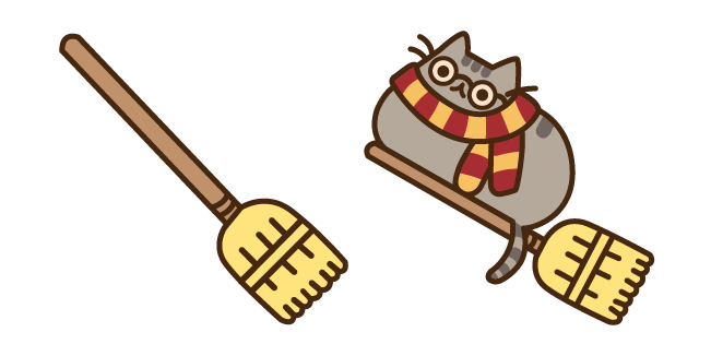 Pusheen Potter and Broomstick