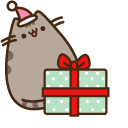 Pusheen with Christmas Present pointer