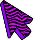 Purple Zebra pointer