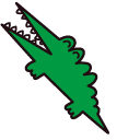 Big Challenges the Green Alligator pointer