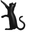 Simple 3D Black Cat pointer