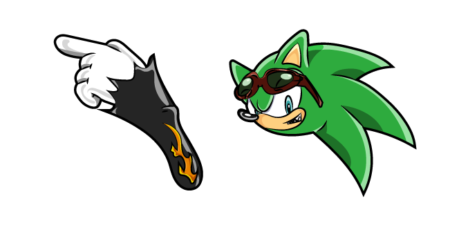 Sonic Scourge The Hedgehog