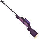 Biathlon pointer