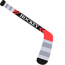 Hockey pointer