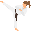 Judo pointer