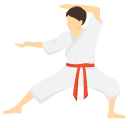 Judo cursor