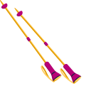 Skiing pointer