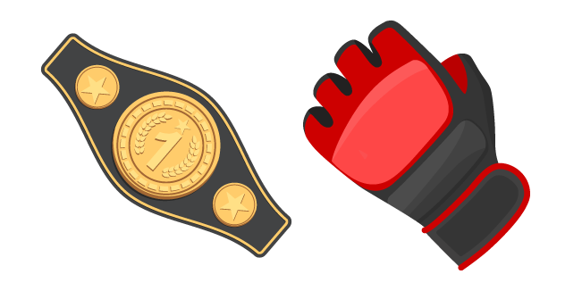 UFC and MMA