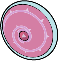 Steven Universe Rose Quartz and Shield pointer