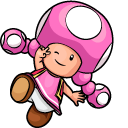 Super Mario Toadette pointer