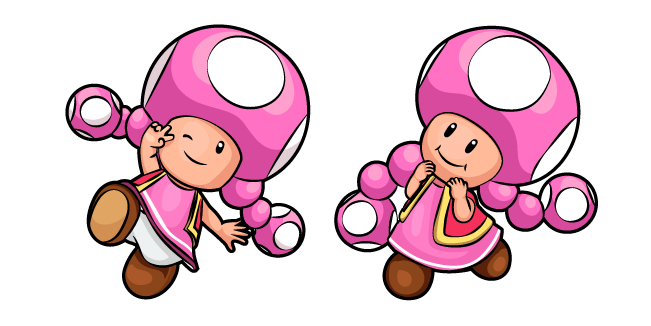 Super Mario Toadette