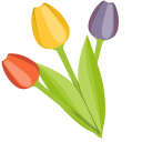 Netherlands Tulips and Windmill pointer