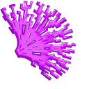 Purple Corals pointer