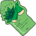 VSCO Girl Aloe Face Mask and Succulent pointer