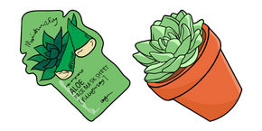 VSCO Girl Aloe Face Mask and Succulent