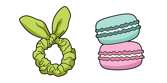 VSCO Girl Bunny Scrunchie and Macaron