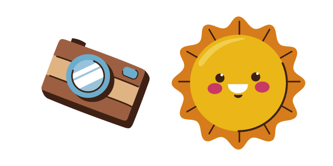 VSCO Girl Camera and Sun