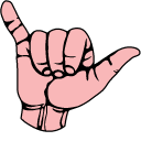 VSCO Girl Hand Spray and Hang Loose Hand cursor