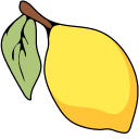 VSCO Girl Lemon and Sunflower pointer