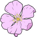 VSCO Girl Love Hearts and Sakura Flower cursor