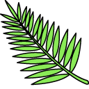 VSCO Girl Palm Leaf and Dragon Fruit pointer