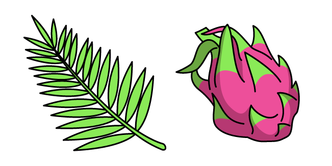 VSCO Girl Palm Leaf and Dragon Fruit