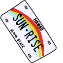 VSCO Girl Sunglasses and Car License Plate cursor