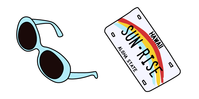 VSCO Girl Sunglasses and Car License Plate