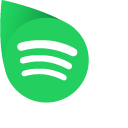 Spotify pointer