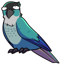 Jaiden Animations pointer