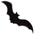 Safiya Nygaard pointer